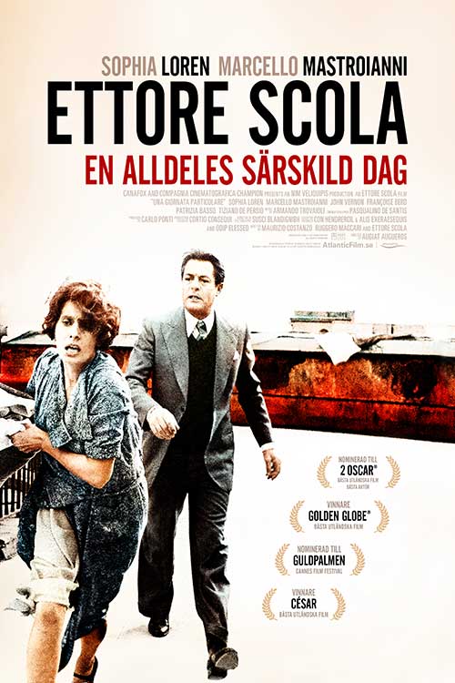 En alldeles särskild dag