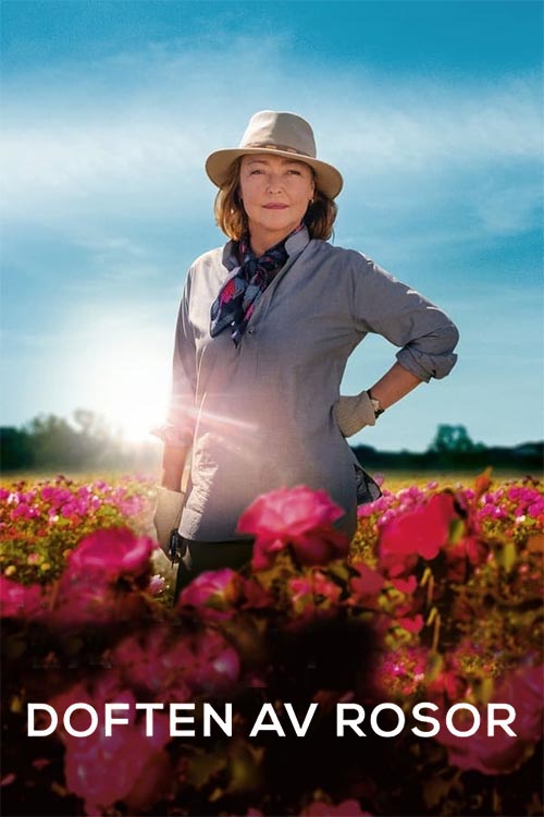 Doften av rosor