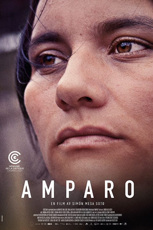 Amparo