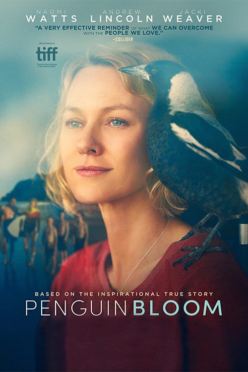 Penguin Bloom