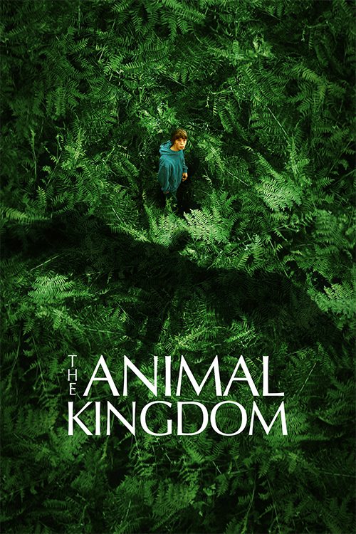 The Animal Kingdom