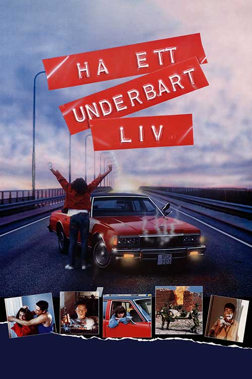 Ha ett underbart liv