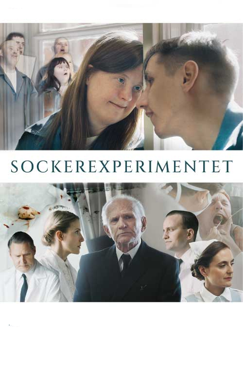 Sockerexperimentet