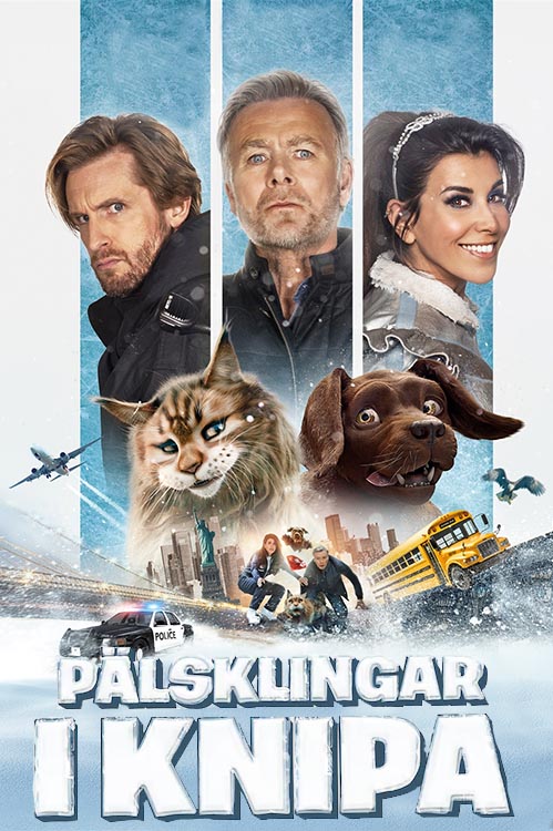 Pälsklingar i knipa