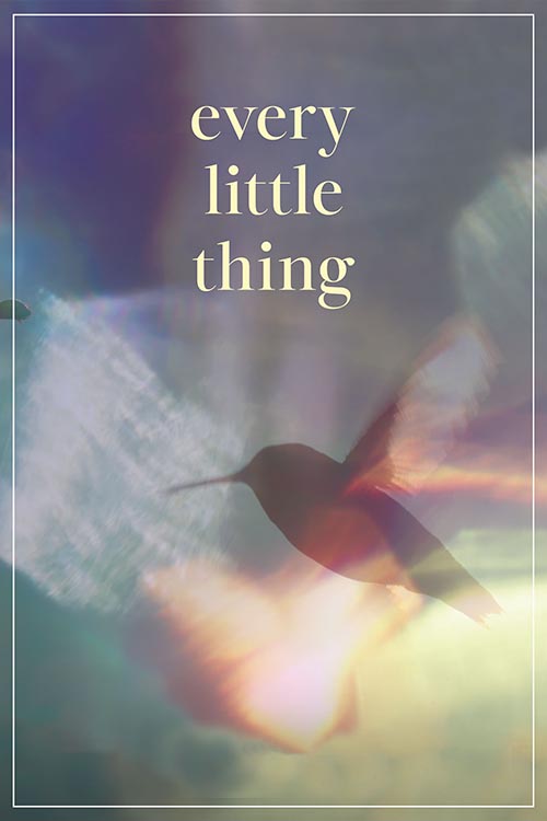 Every Little Thing