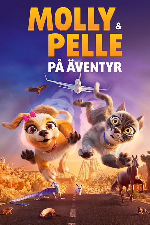 Cineasterna