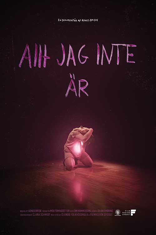 Allt jag inte är