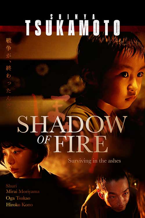 Shadow Of Fire