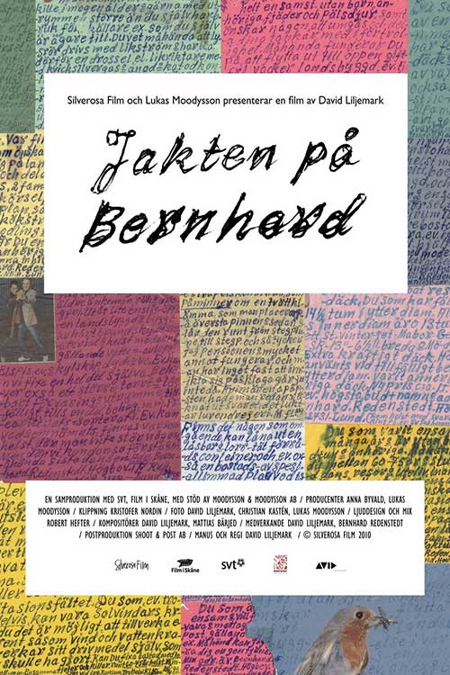 Filmaffisch för Jakten på Bernhard (2010)