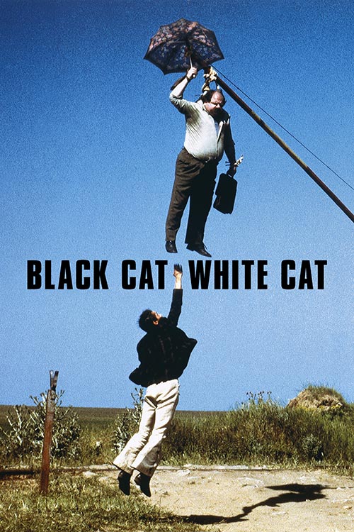 Filmaffisch för Svart katt, vit katt (1998)